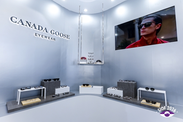 CANADA_GOOSE_1